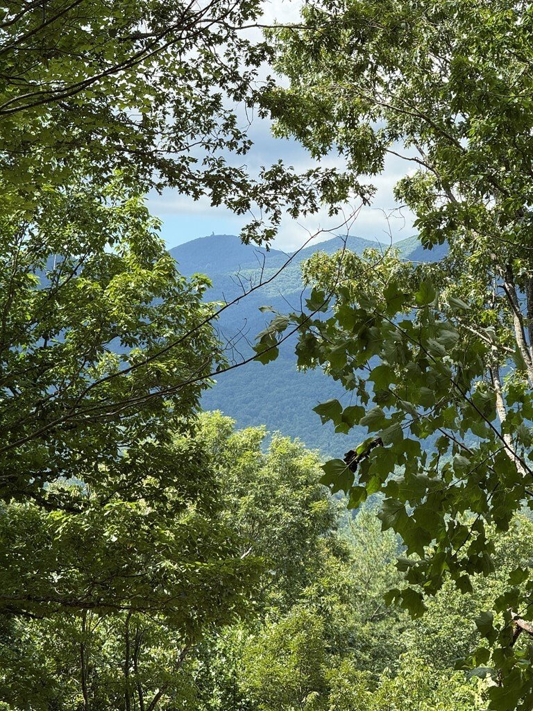 House in Hiawassee, Georgia, United States 5 - 17341536