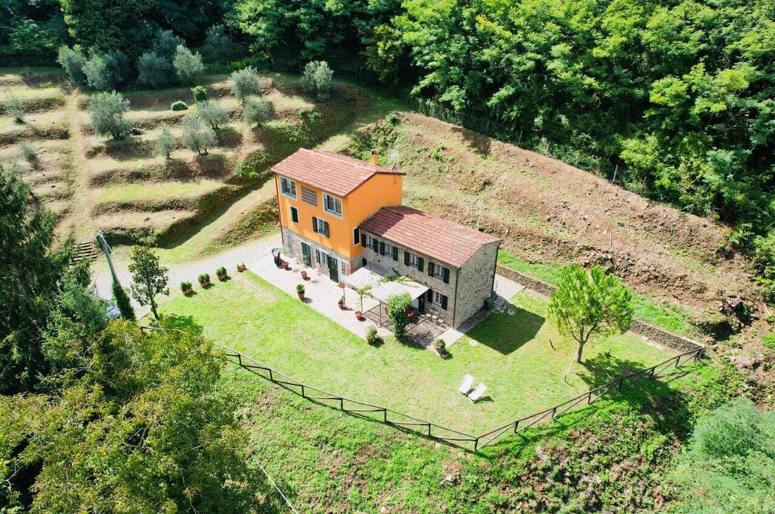 Farm Ranch in Center, Capannori, Tuscany 5 - 17342381