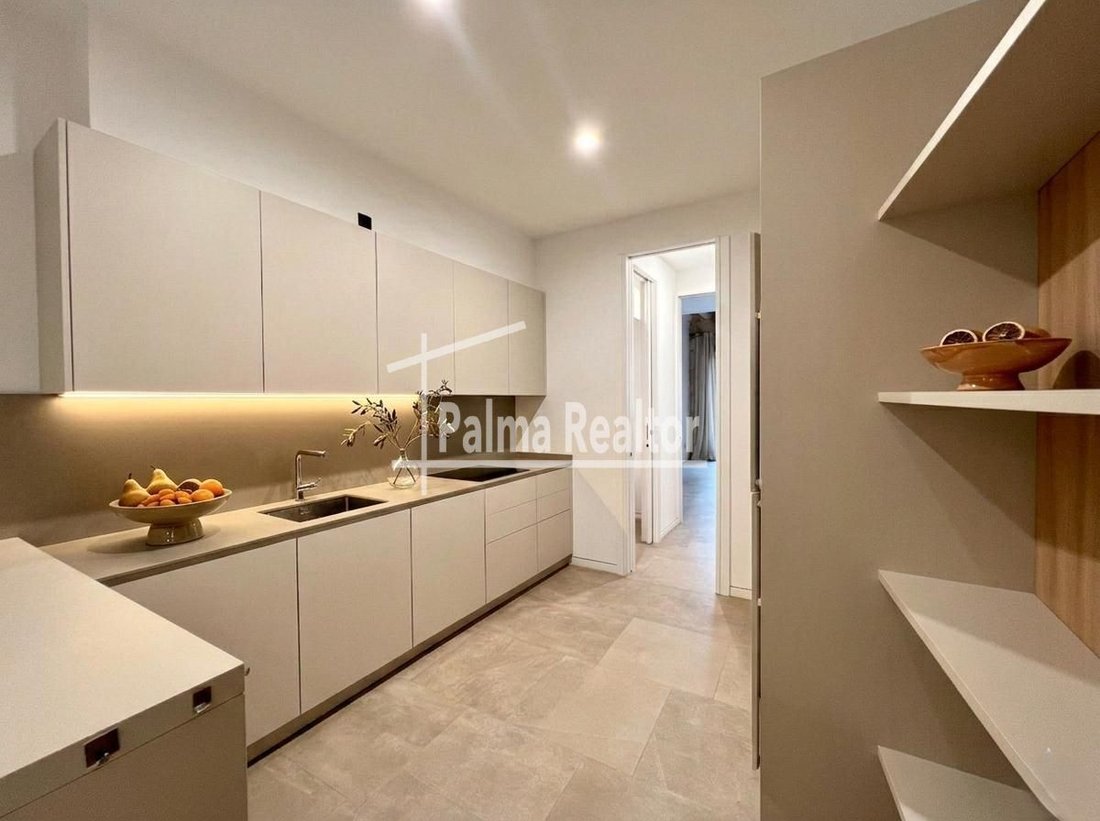 Apartment in Palma, Balearic Islands, Spain 4 - 14684964