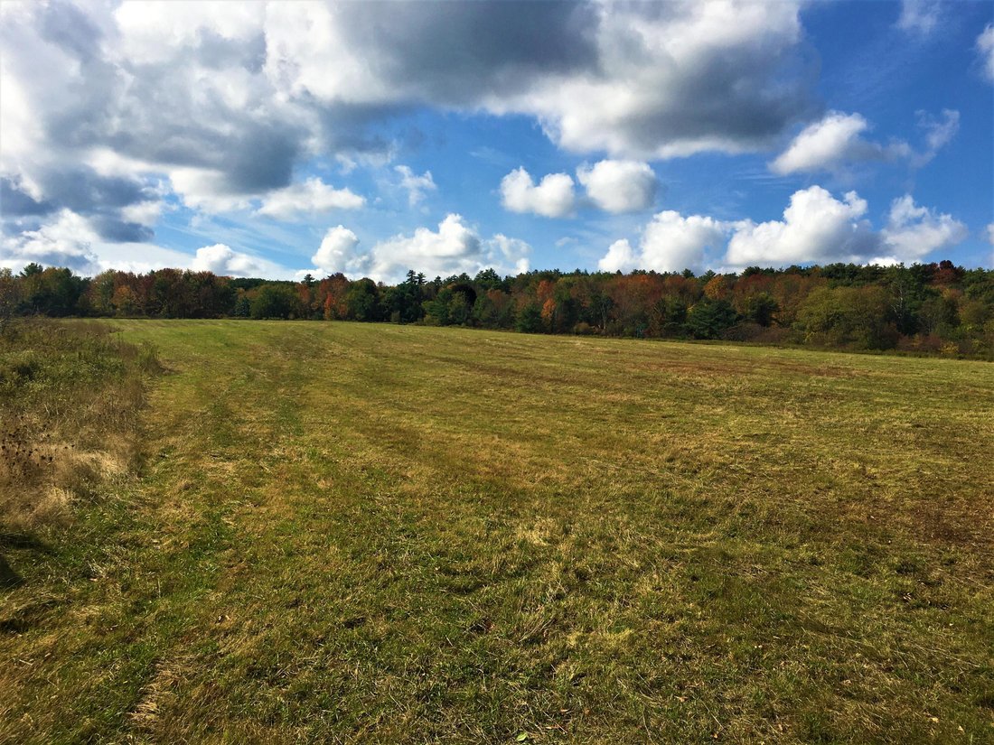 Land in Falmouth, Maine, United States 5 - 17339654