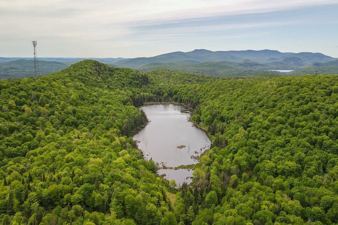 Land in Lac-Supérieur, Quebec, Canada 1 - 17343750
