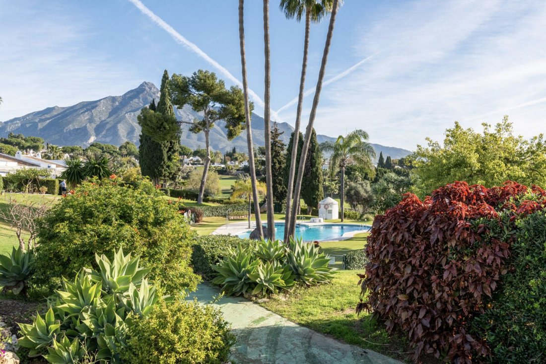 Bungalow in Centro, Malaga, Spain 4 - 17340140
