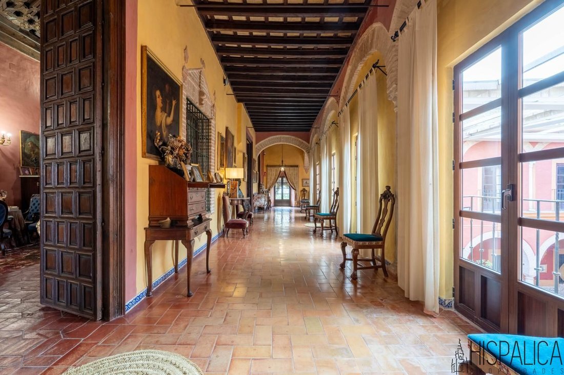 Villa in Ecija, Andalusia, Spain 4 - 17339871