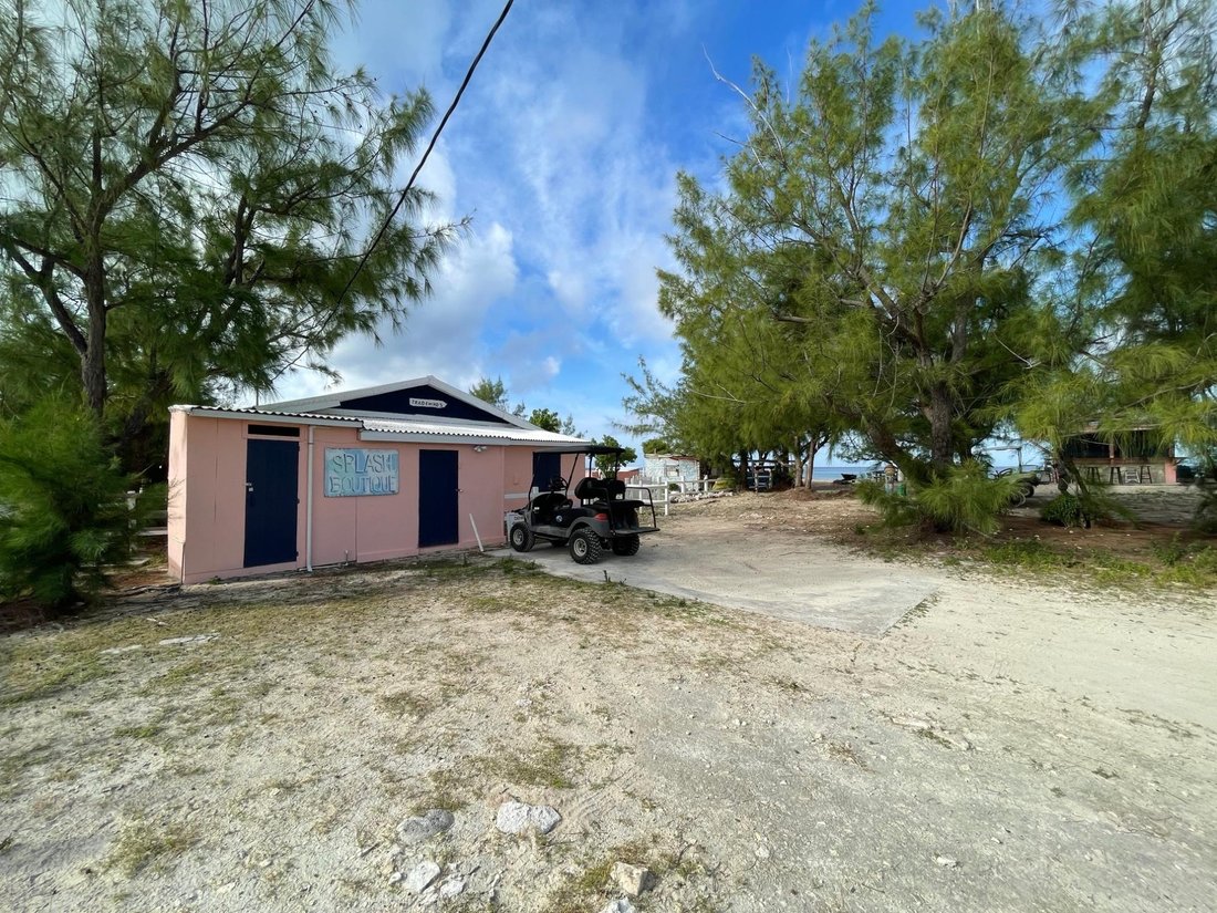 Apartment in Balfour Town, Turks Islands, Turks and Caicos Islands 5 - 17342896