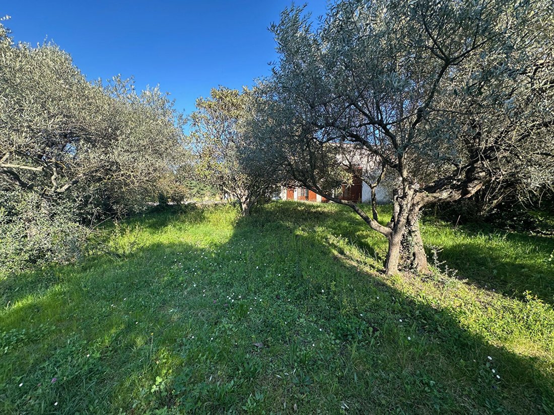Villa in Montauroux, Provence-Alpes-Côte d'Azur, France 5 - 17339993