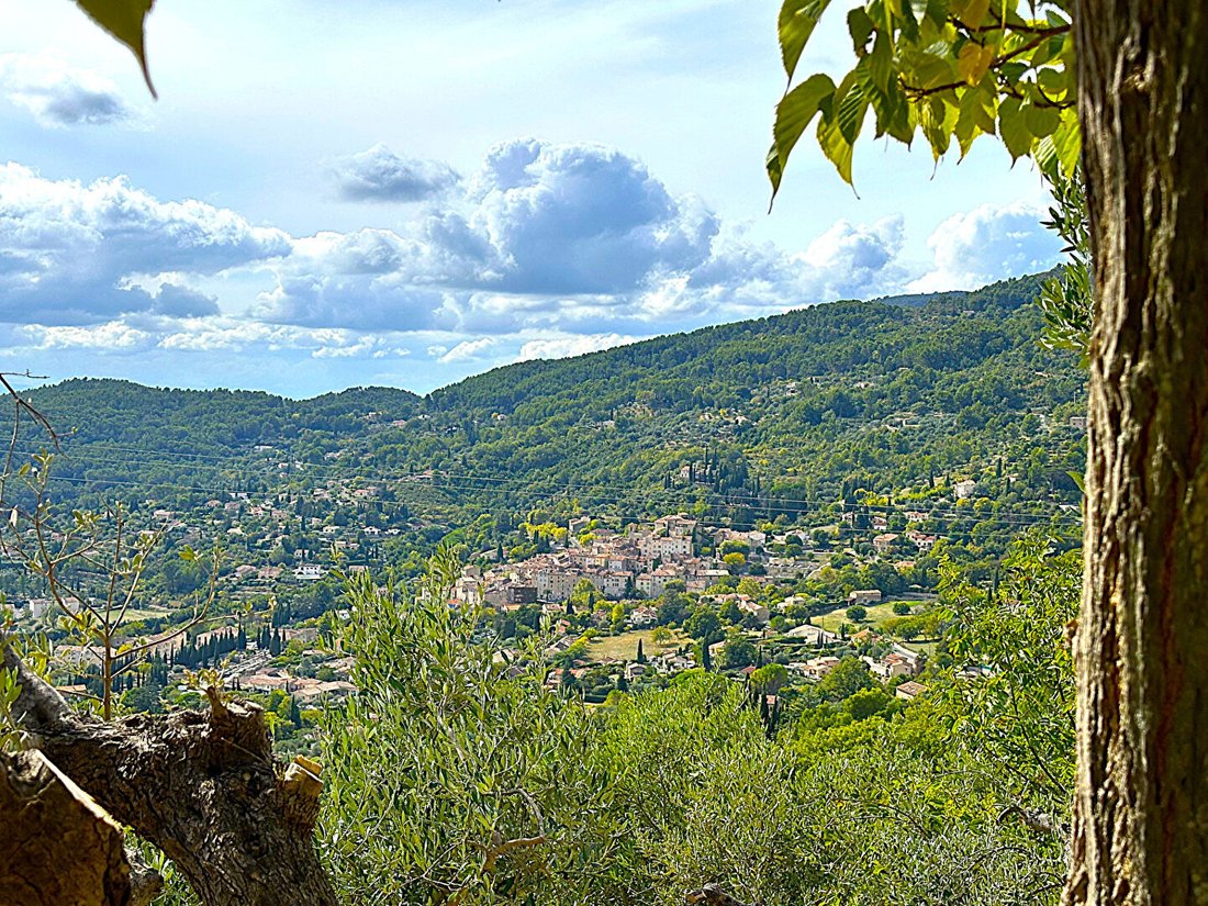 Villa in Replonges, Auvergne-Rhône-Alpes, France 4 - 17339988