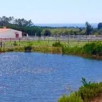 Estate in S.Teotónio, Beja District, Portugal 4 - 17340129