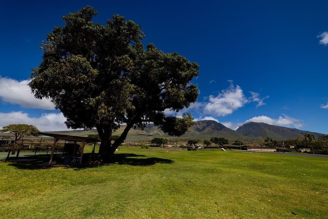 House in Lahaina, Hawaii, United States 5 - 17343483