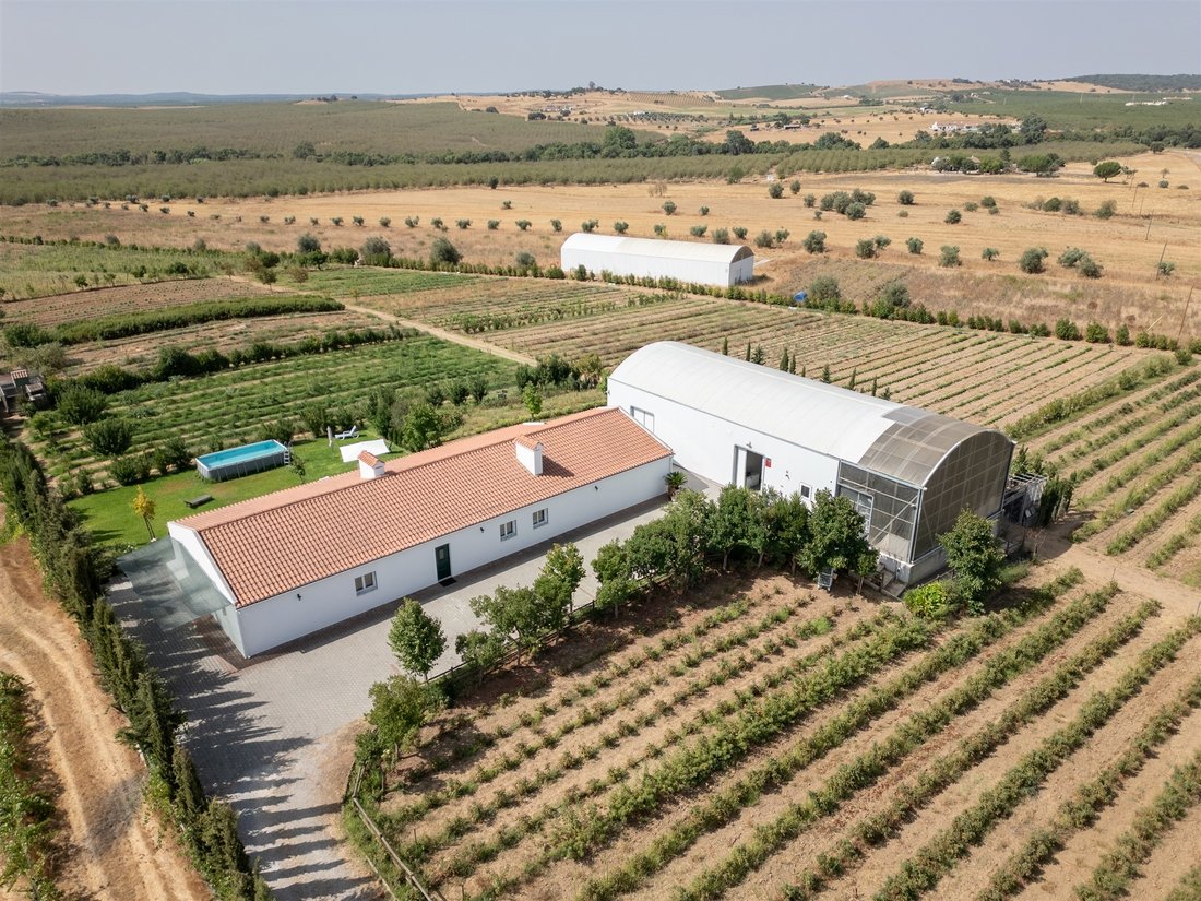 Farm Ranch in Sao Mancos e Sao Vicente do Pigeiro, Évora District, Portugal 1 - 17342123