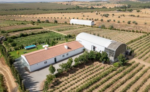 Azienda agricola a Sao Mancos e Sao Vicente do Pigeiro, Distretto di Évora, Portogallo 1