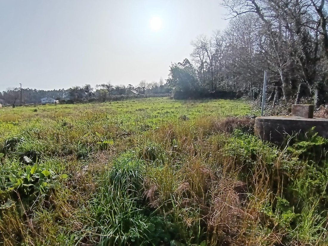 Villa in Meis, Galicia, Spain 4 - 17344390