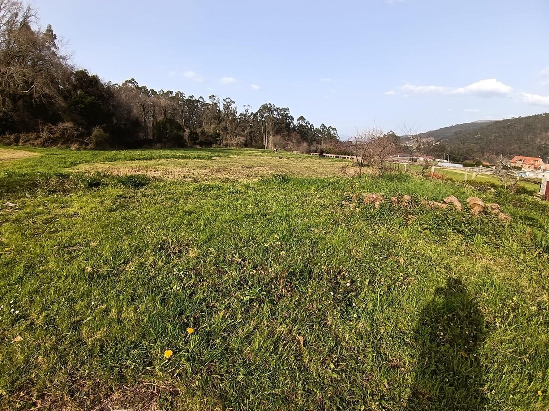 Villa in Meis, Galicia, Spain 5 - 17344390