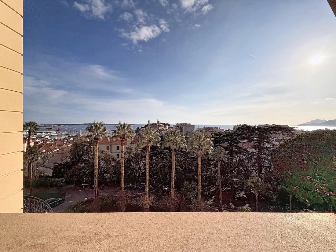 Apartment in Cannes, Provence-Alpes-Côte d'Azur, France 2 - 17344846