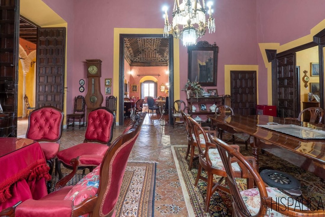 Villa in Ecija, Andalusia, Spain 5 - 17339871