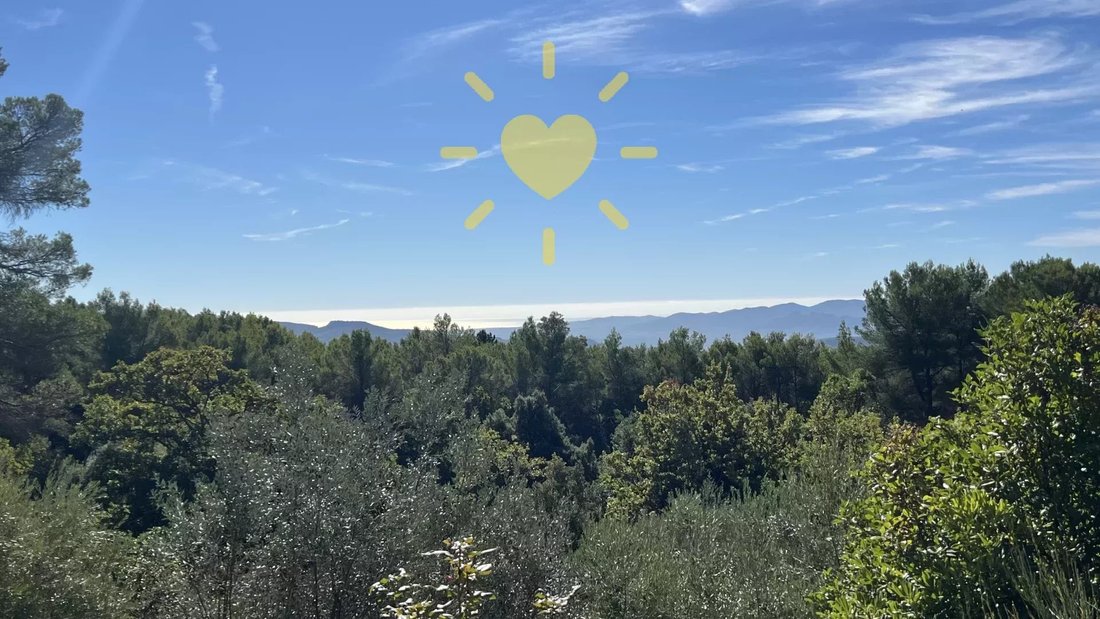 Estate in Callas, Provence-Alpes-Côte d'Azur, France 2 - 17344875