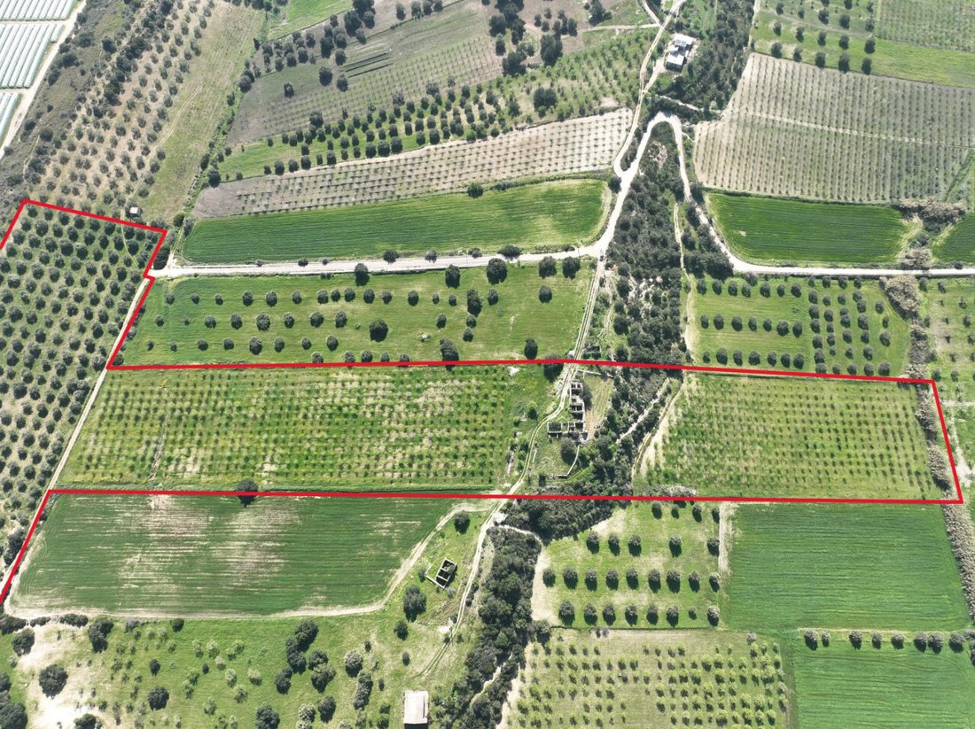 Land in Riserva di Vendicari - Marzamemi - San Lorenzo, Noto, Sicily 5 - 17343165