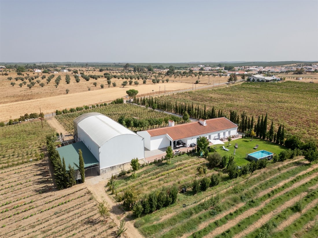 Farm Ranch in Sao Mancos e Sao Vicente do Pigeiro, Évora District, Portugal 4 - 17342123