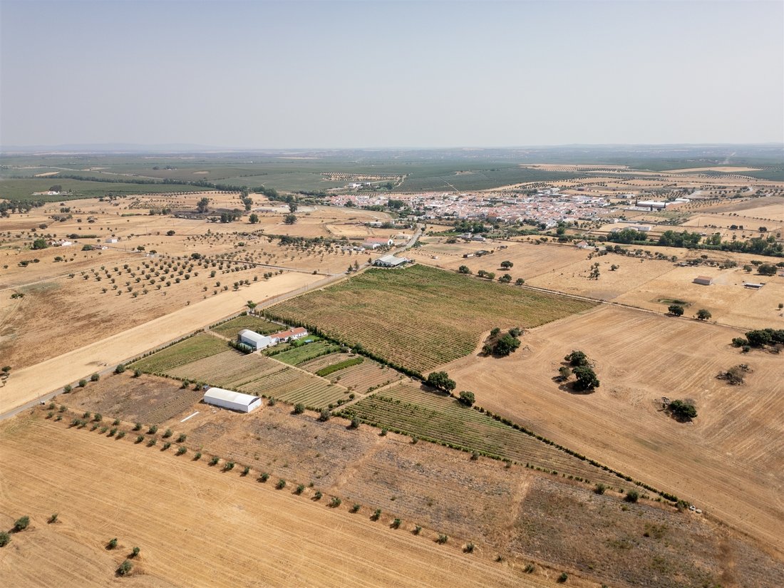 Farm Ranch in Sao Mancos e Sao Vicente do Pigeiro, Évora District, Portugal 5 - 17342123