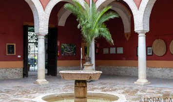Villa à Écija, Andalousie, Espagne 1