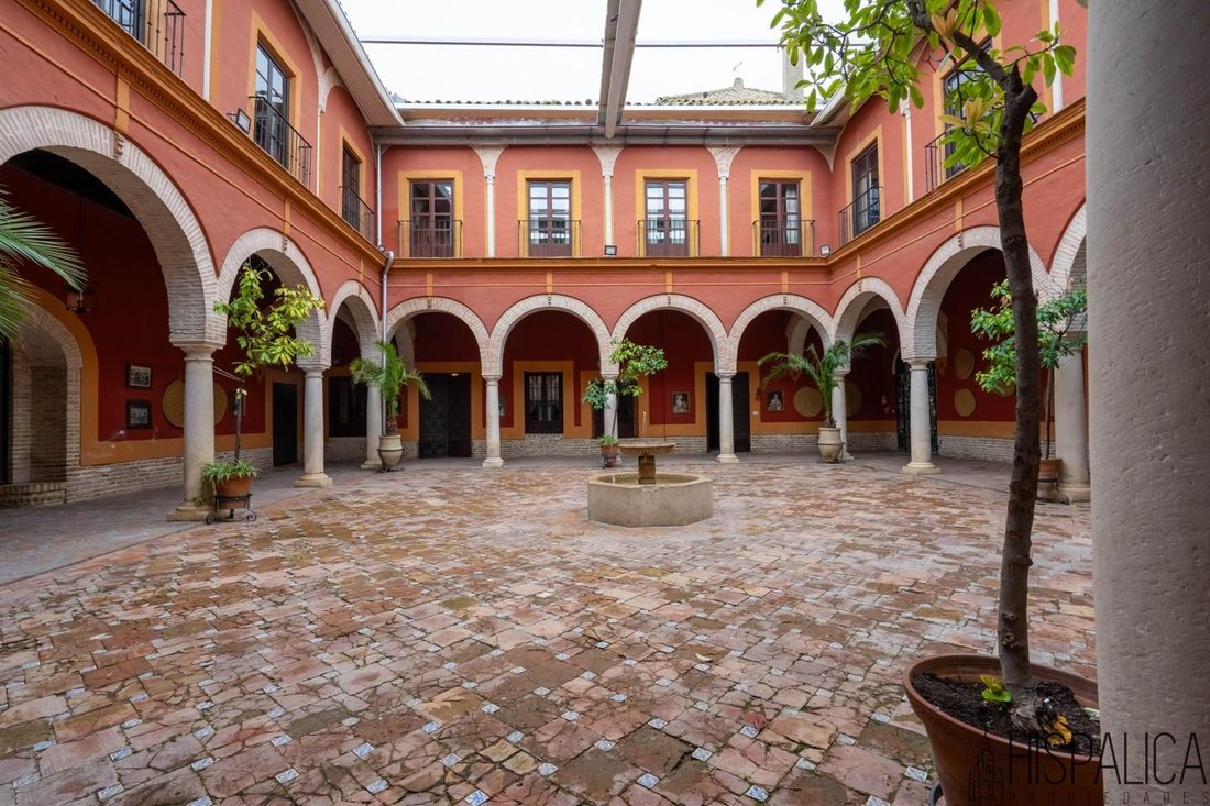 Villa in Ecija, Andalusia, Spain 2 - 17339871