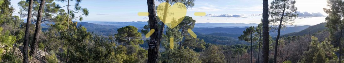 Estate in Callas, Provence-Alpes-Côte d'Azur, France 1 - 17344893