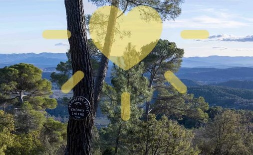Estate in Callas, Provence-Alpes-Côte d'Azur, France 1