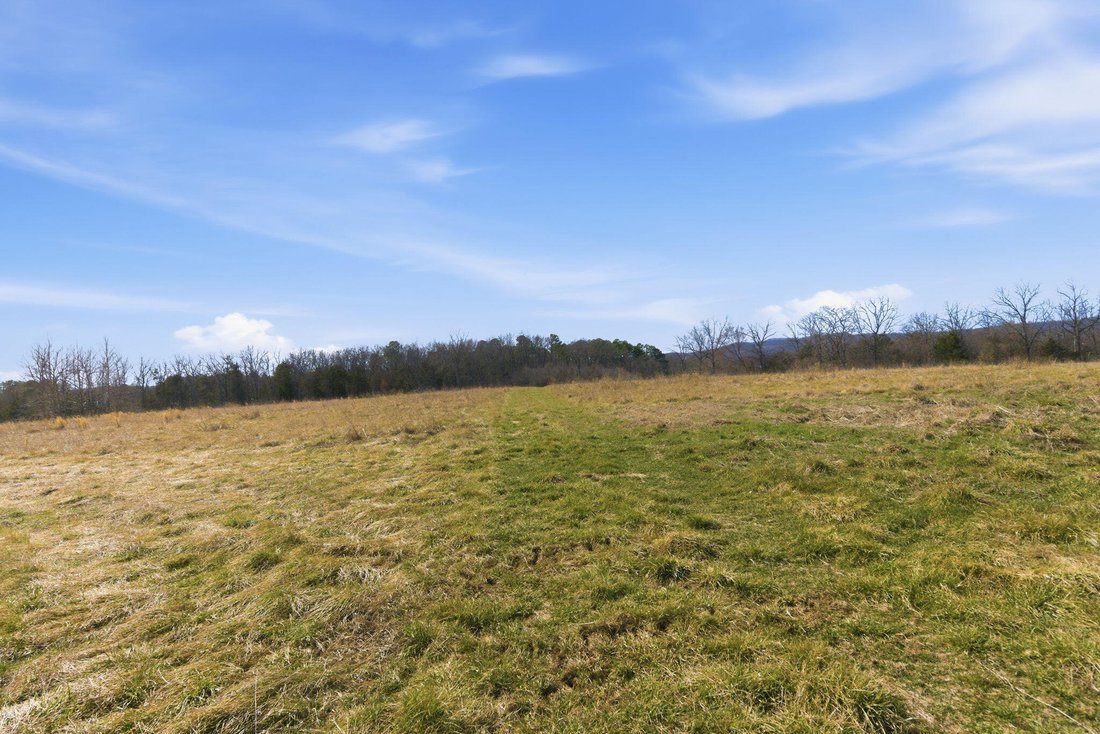 Land in Thornfield, Missouri, United States 4 - 17334786
