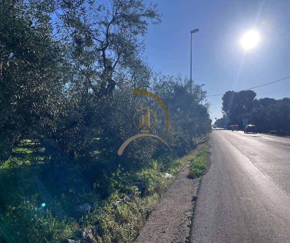 Land in Castle of the Mountain - Montegrosso - Boschetto, Andria, Apulia 5 - 17341391