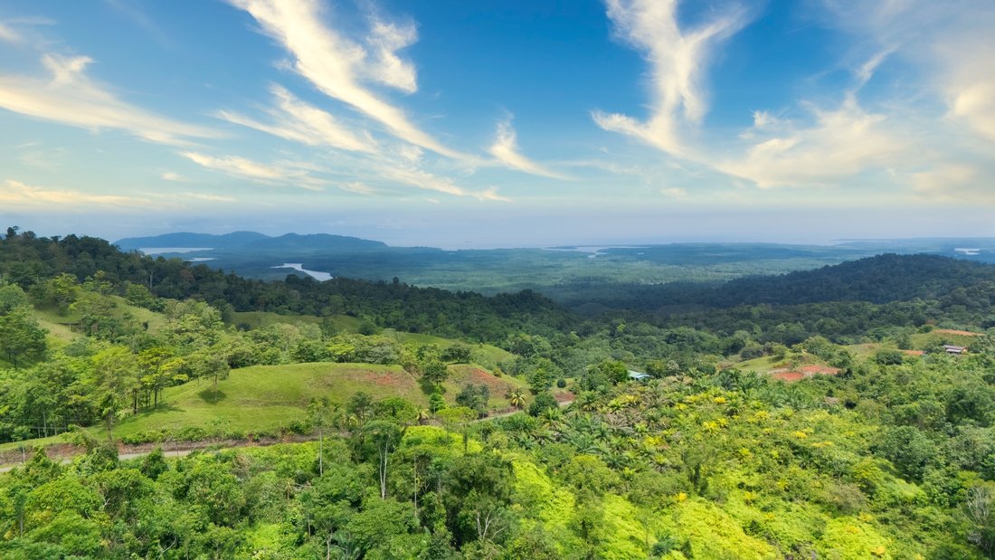 Land in Sierpe, Puntarenas Province, Costa Rica 1 - 17342775