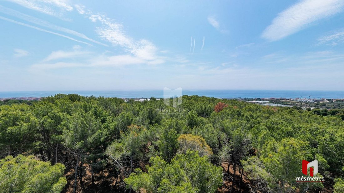 Villa in Teia, Catalonia, Spain 2 - 17344404