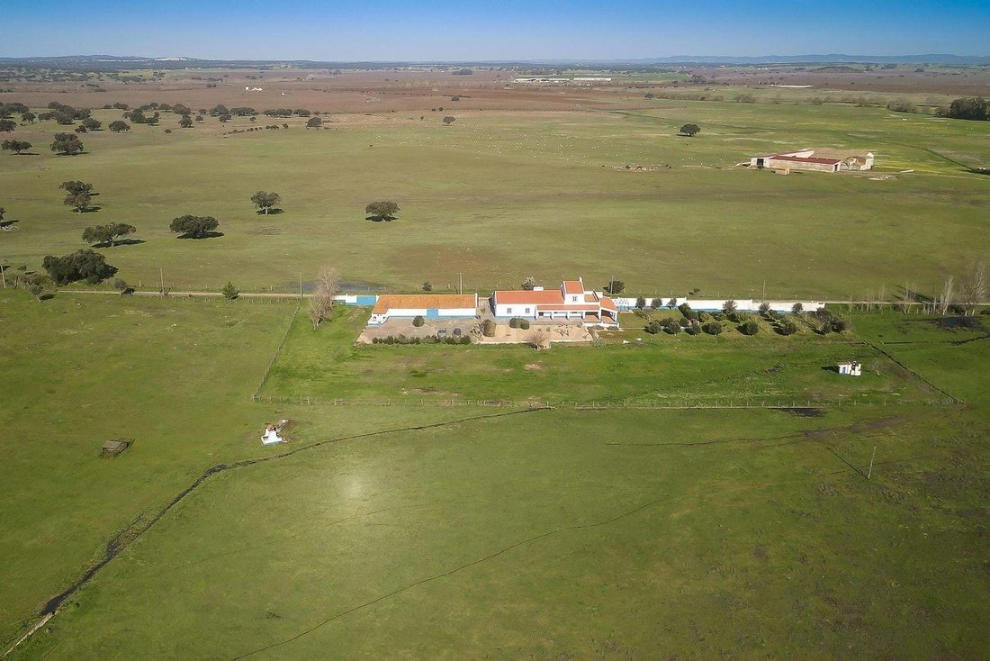 Farm Ranch in Viana do Alentejo, Évora District, Portugal 2 - 17342680