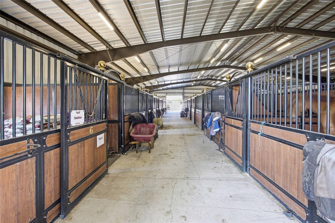 Land in Ocala, Florida, United States 5 - 17341043