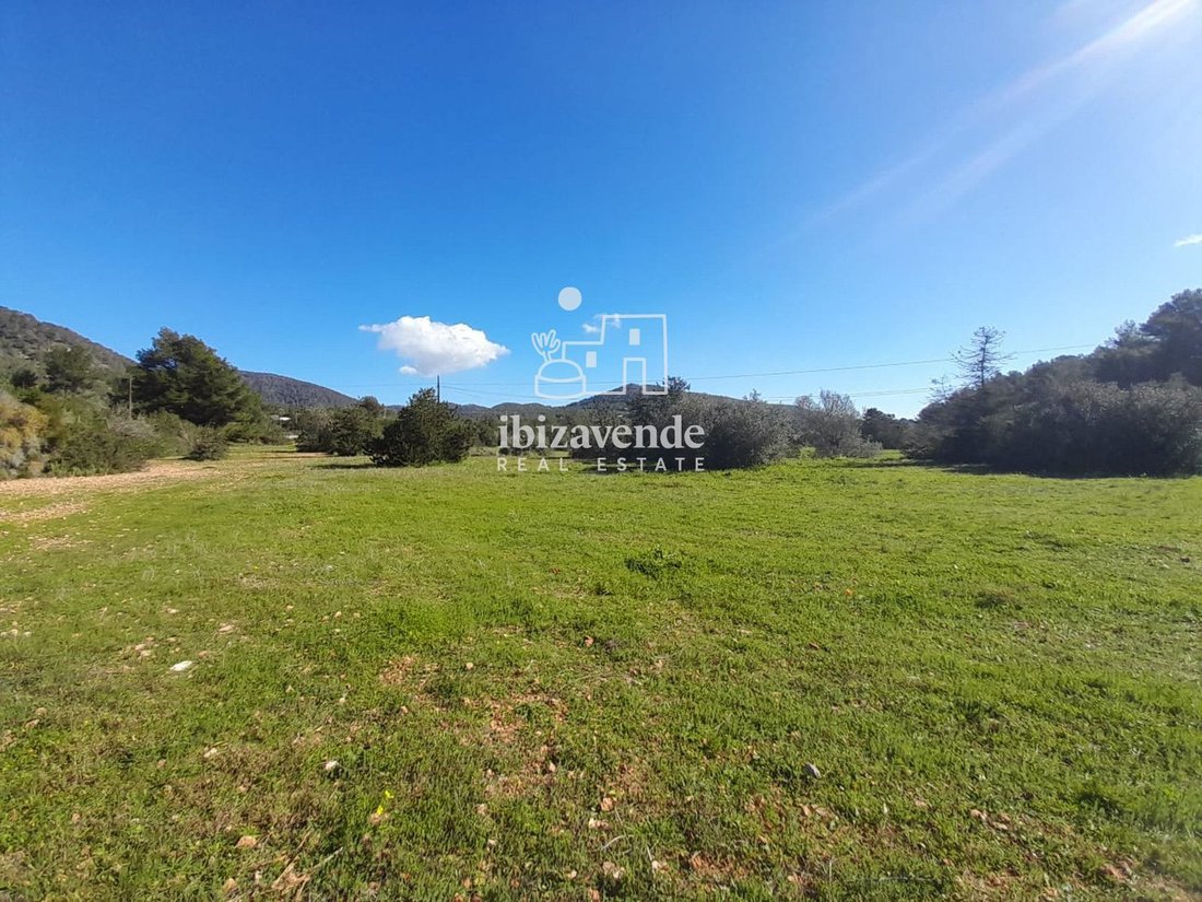 Finca in Sant Josep de sa Talaia, Balearic Islands, Spain 2 - 17342805