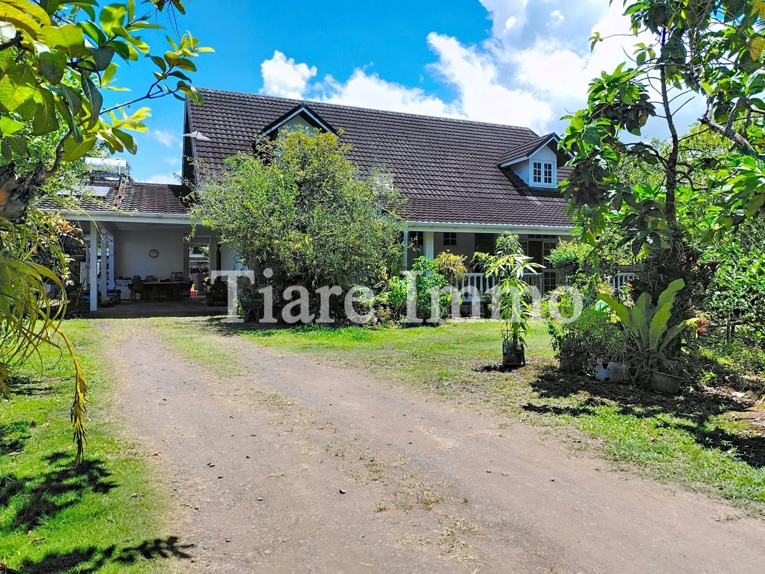 House in Teva I Uta, Windward Islands, French Polynesia 4 - 17343567
