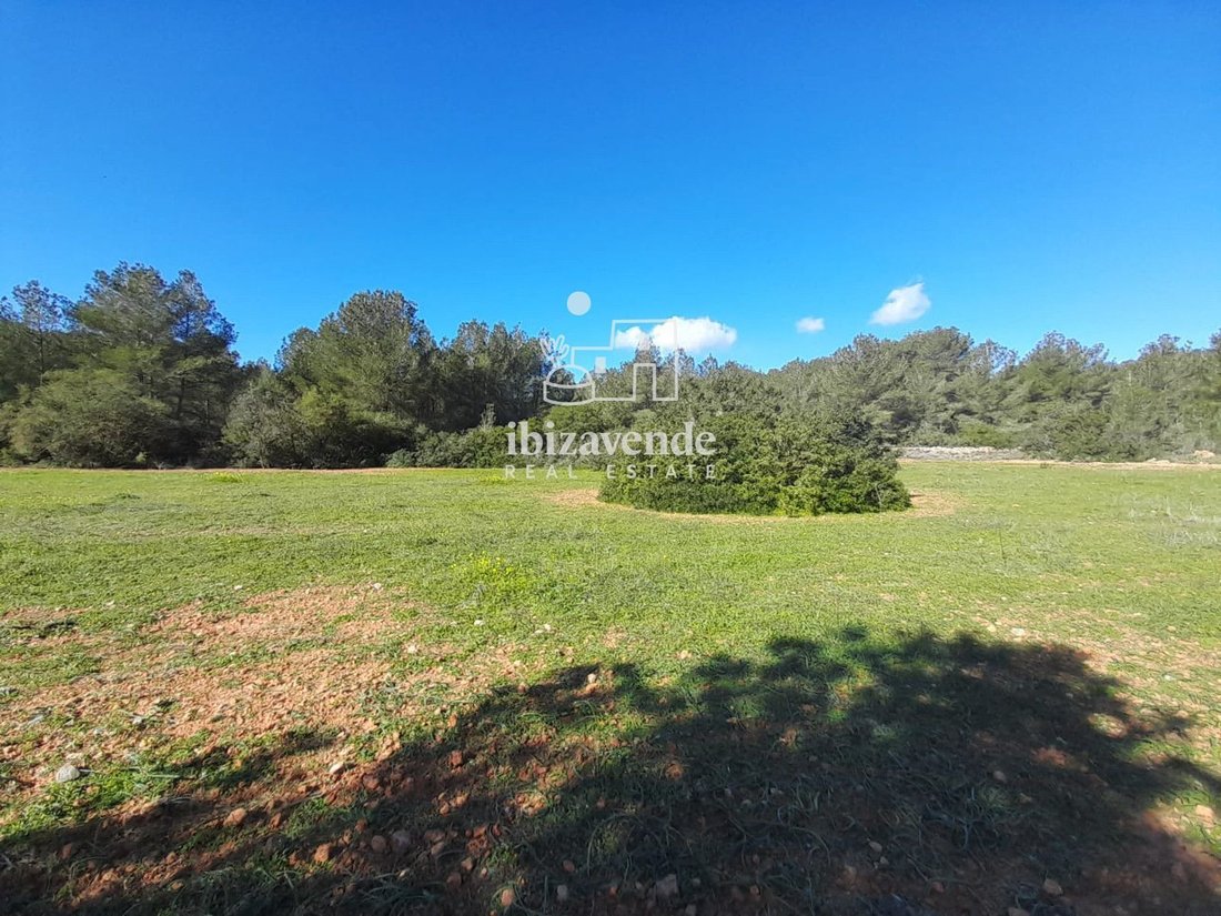 Finca in Sant Josep de sa Talaia, Balearic Islands, Spain 1 - 17342805