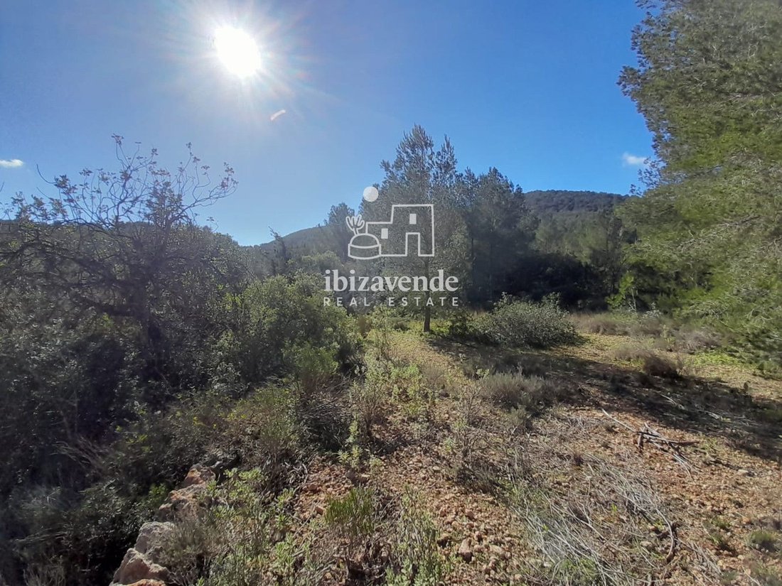 Finca in Sant Josep de sa Talaia, Balearic Islands, Spain 3 - 17342805