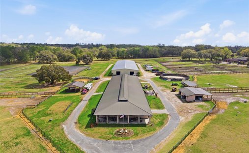 Land in Ocala, Florida, United States 1