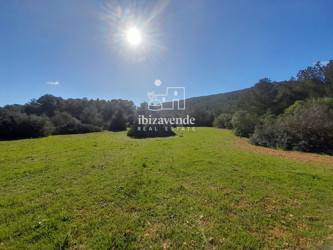 Finca in Sant Josep de sa Talaia, Balearic Islands, Spain 4 - 17342805