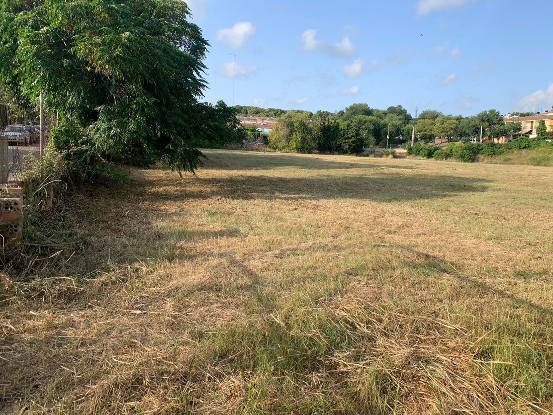 Land in Tarragona, Catalonia, Spain 5 - 17346276