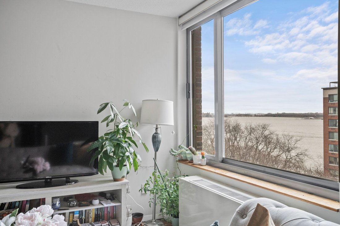 Condo in New York, New York, United States 4 - 17346384