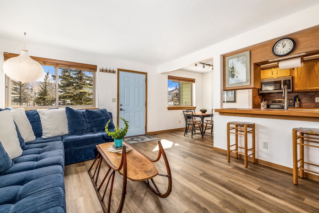 Condo in Dillon, Colorado, United States 4 - 17346514