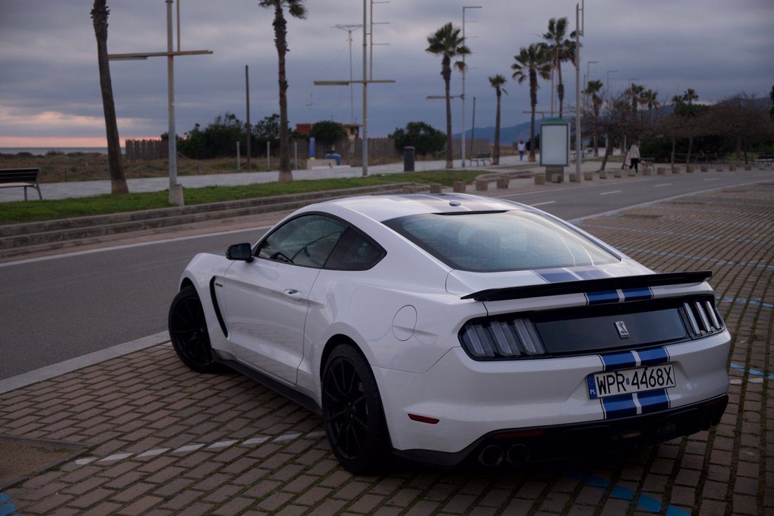 Coupe in Barcelona, Catalonia, Spain 4 - 17346474