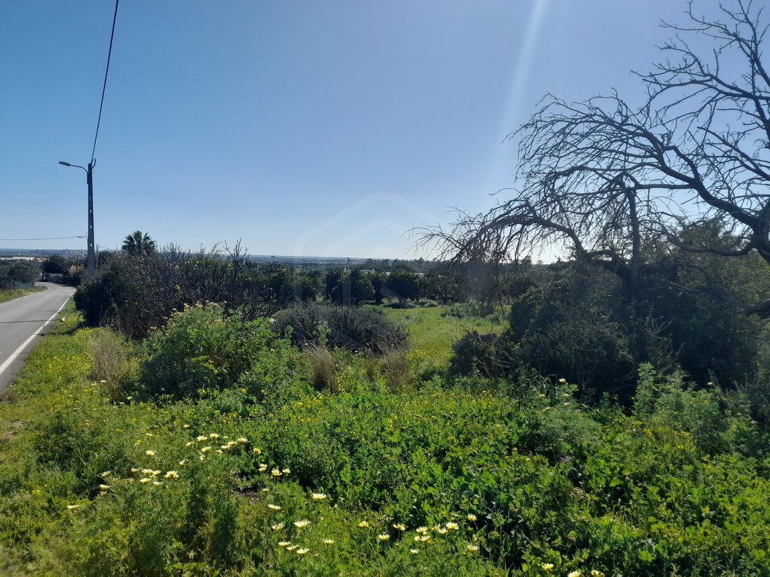 Land in Santa Barbara de Nexe, Algarve, Portugal 5 - 17348986