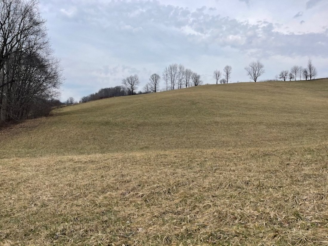 House in Zionville, North Carolina, United States 5 - 17348859