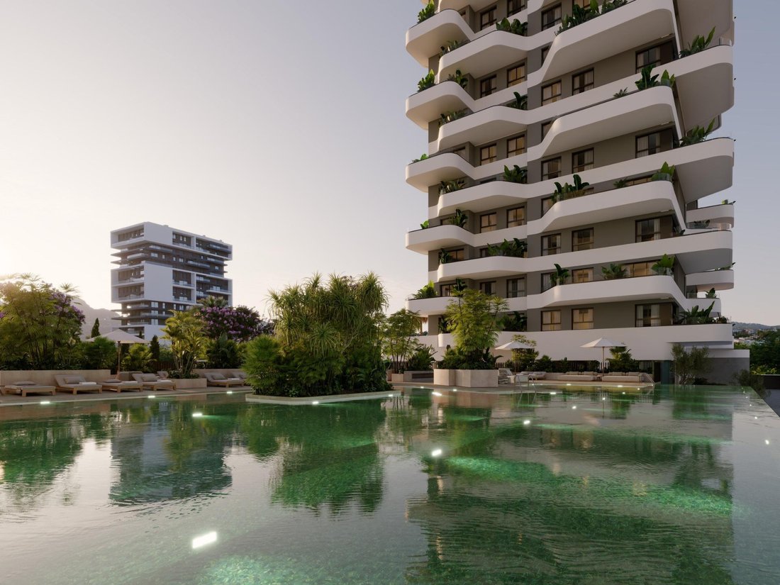 Apartment in Calp / Calpe, Valencian Community, Spain 1 - 16716658