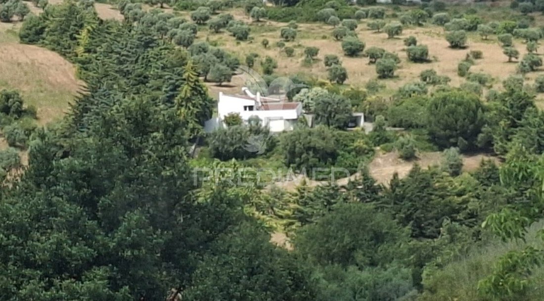 House in Mocarria, Santarem District, Portugal 1 - 14965002