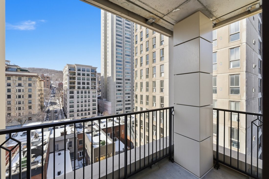 Condo in Montréal, Quebec, Canada 4 - 17353100