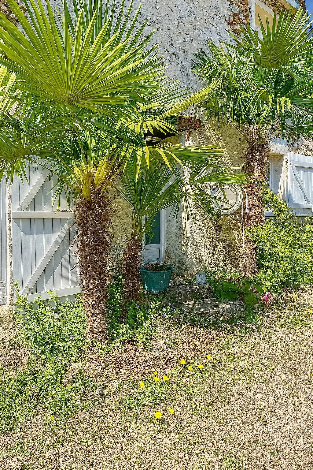 House in Saint-Rémy-de-la-Vanne, Ile-de-France, France 2 - 17352614