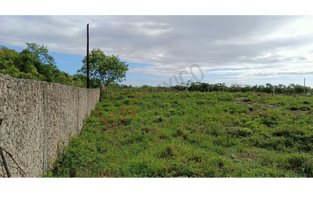 Land in Yalcón, Yucatan, Mexico 3 - 17351270