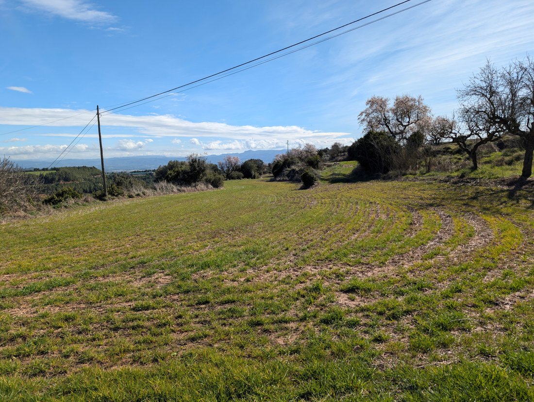 Sant Mateu de Bages, Catalonia, Spain 2 - 17349415